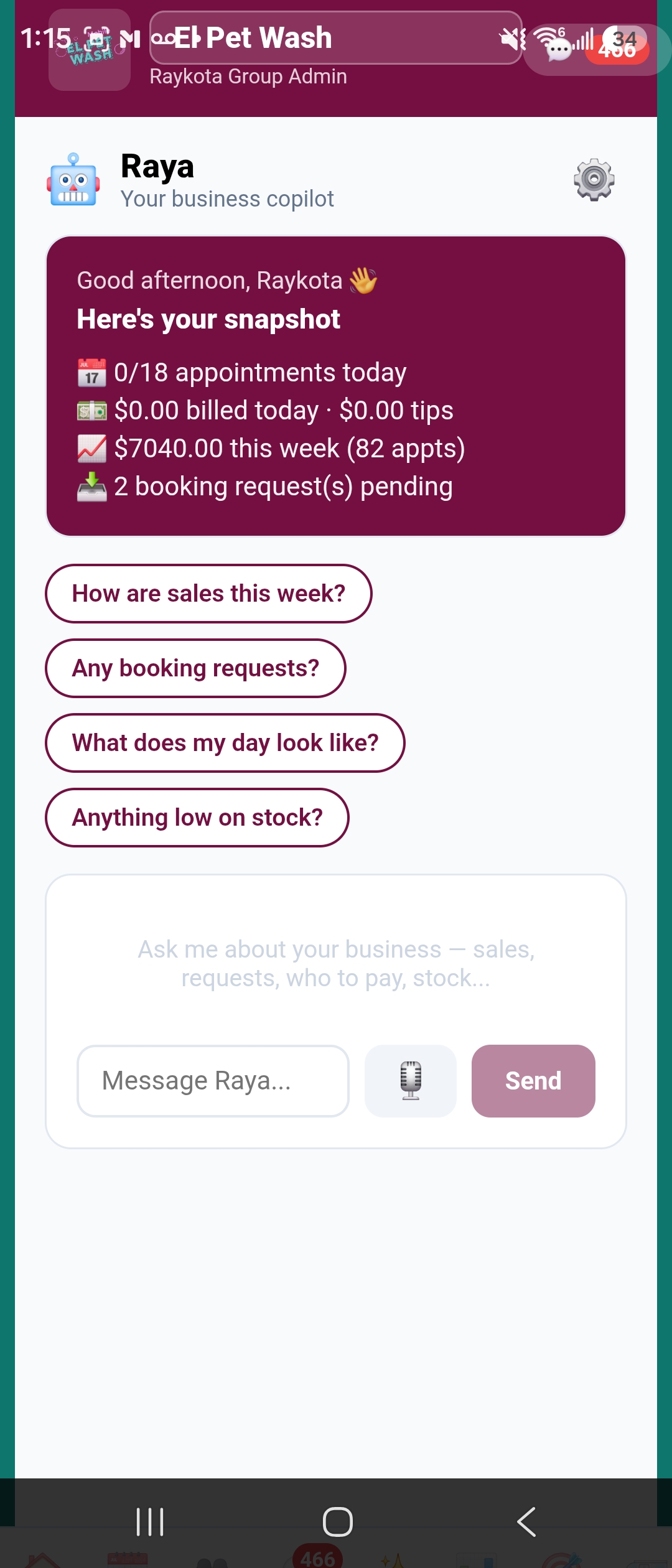 Raya AI chat screen